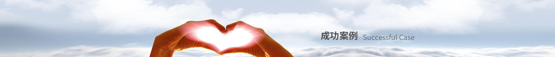 �ɹ�����